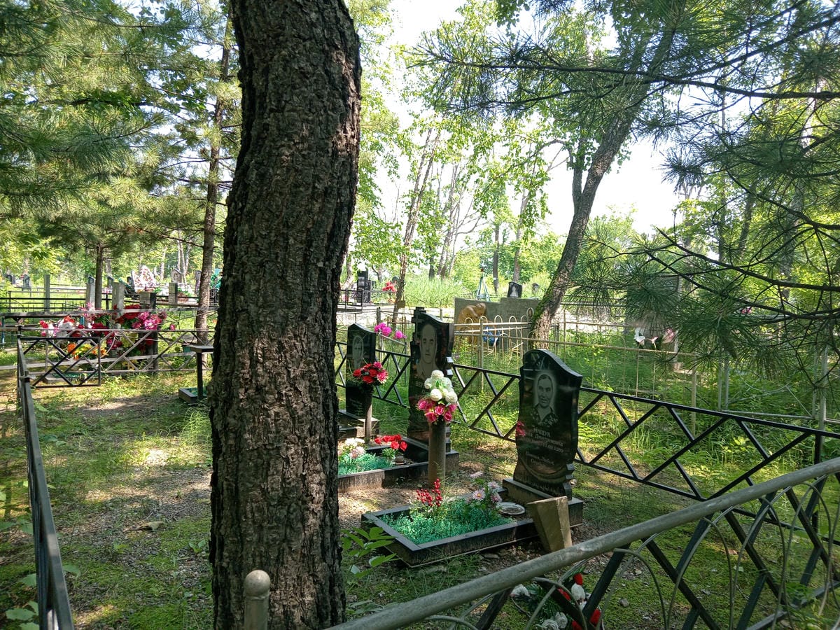 54237b14-c353-4a5e-a160-ca597ab6764d Мищук Анна Дмитриевна