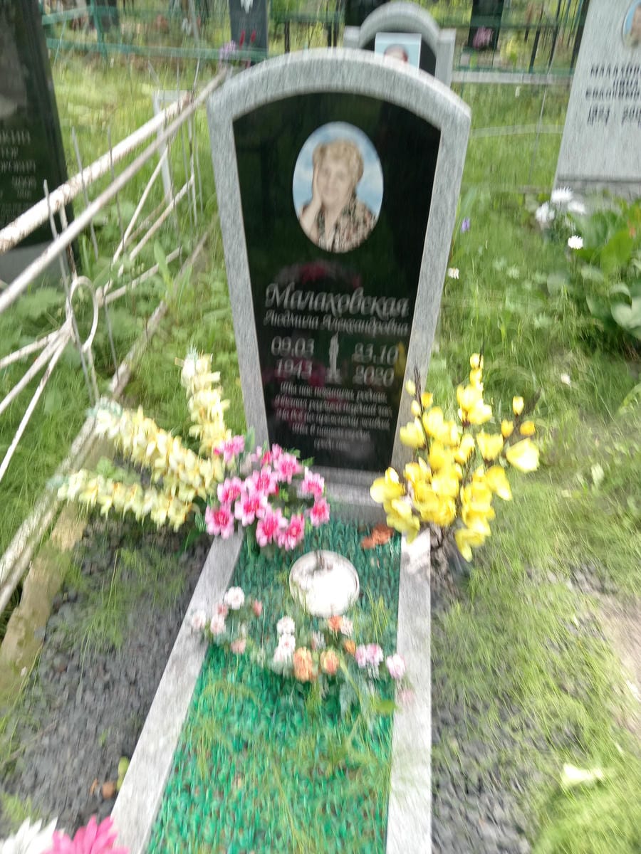 54bf8e11-9698-4216-a0ad-d6eb223c4a2e Малаховская Людмила Александровна