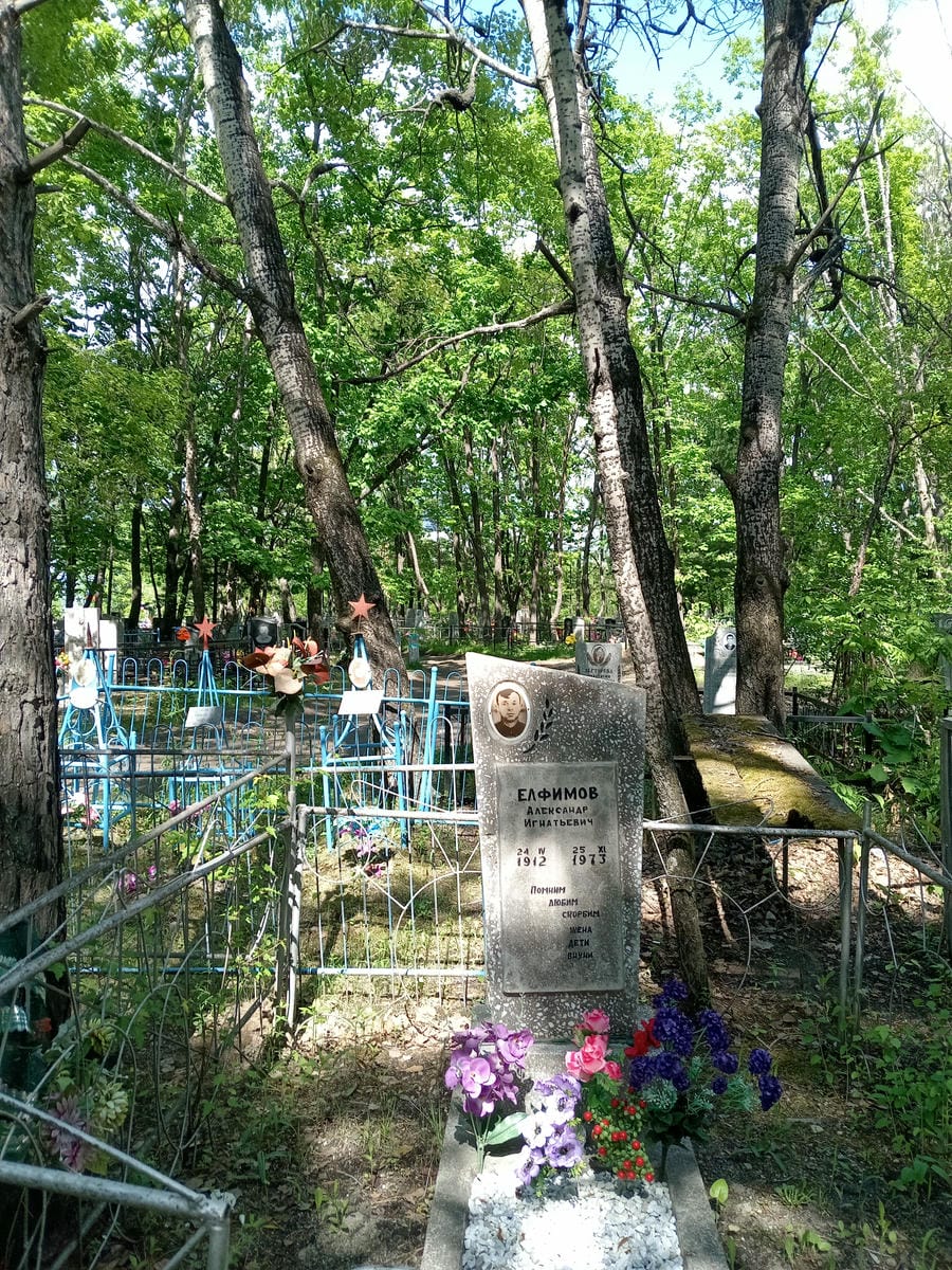 54e8c00b-7153-4db2-8f2d-9e0d4cc58615 Елфимов Александр Игнатьевич