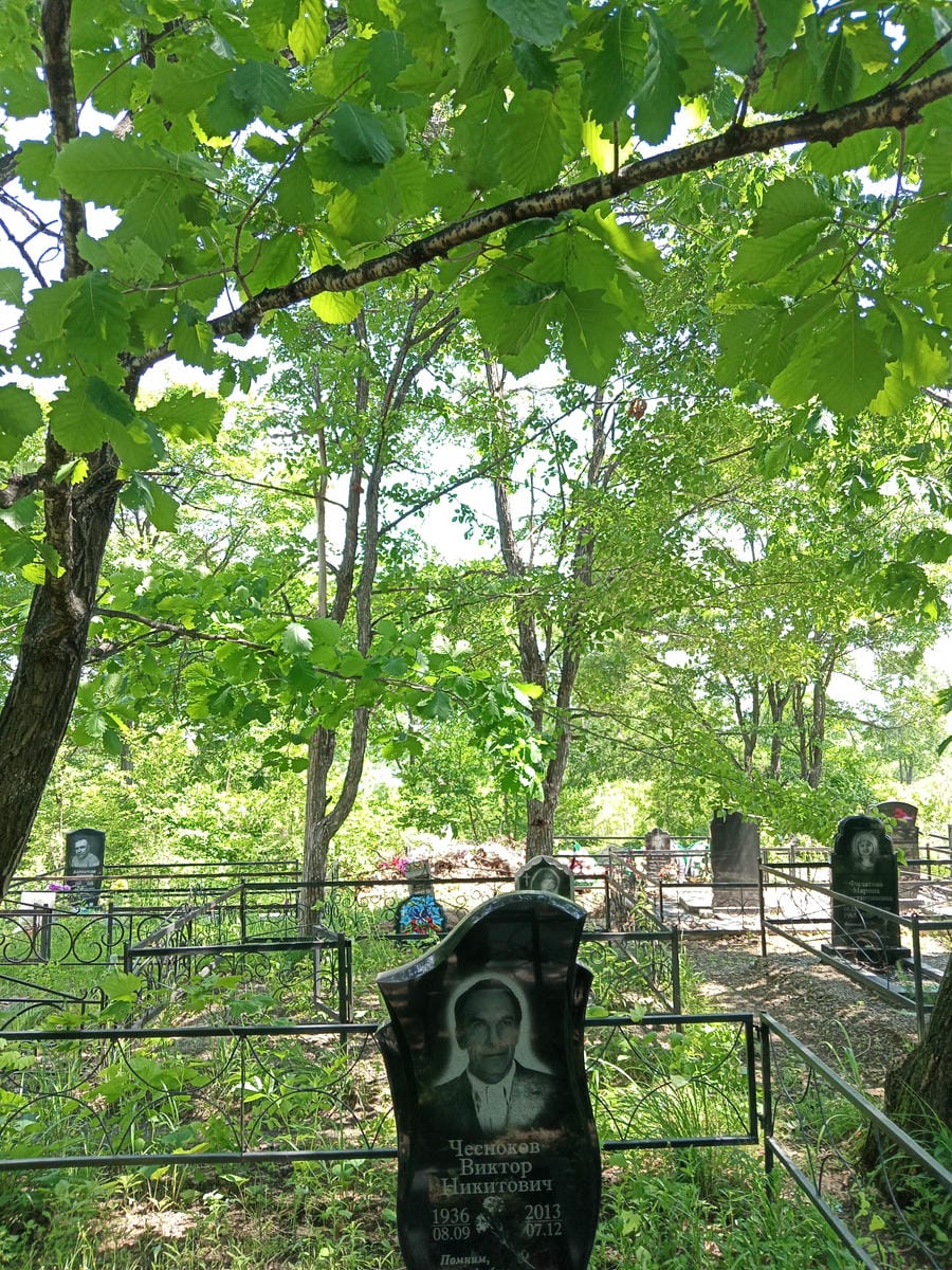 54fdba64-ff2b-47fb-8696-ff03749a5013 Чесноков Виктор Никитович