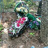 Стукашева Анастасия Стефановна