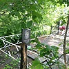Чикватадзе Анатолий Шалович