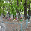 Володин Георгий Дмитриевич