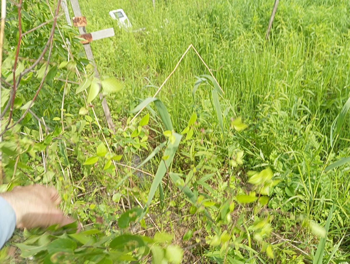 Неизвестно Неизвестно Неизвестно