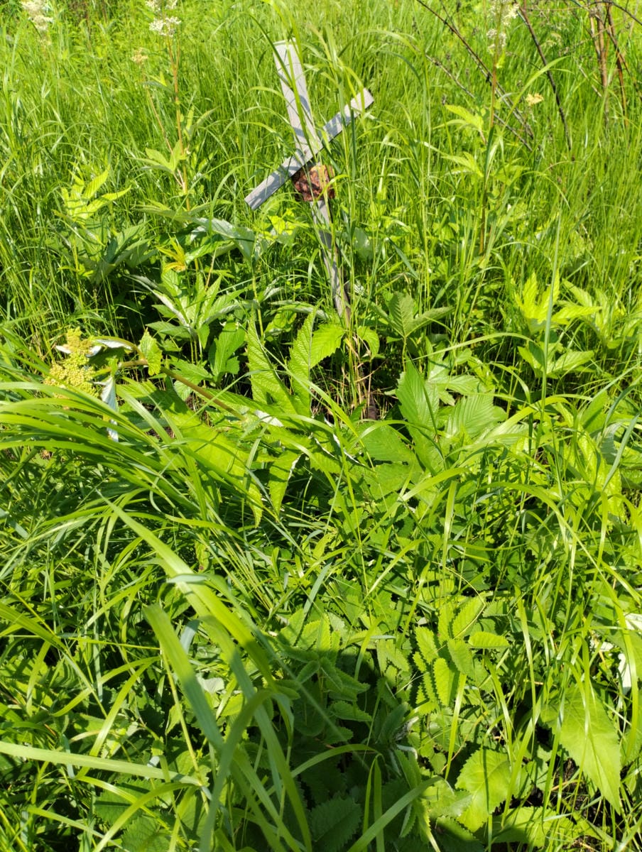 Неизвестно Неизвестно Неизвестно