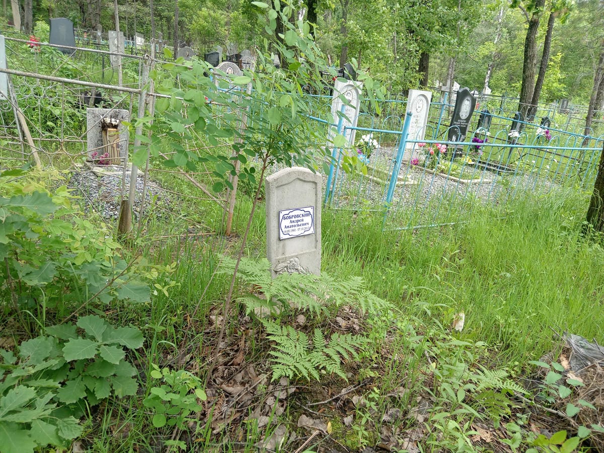 571cc945-ba3c-4b01-a497-43cef3e8d861 Бобровский Андрей Анатольевич