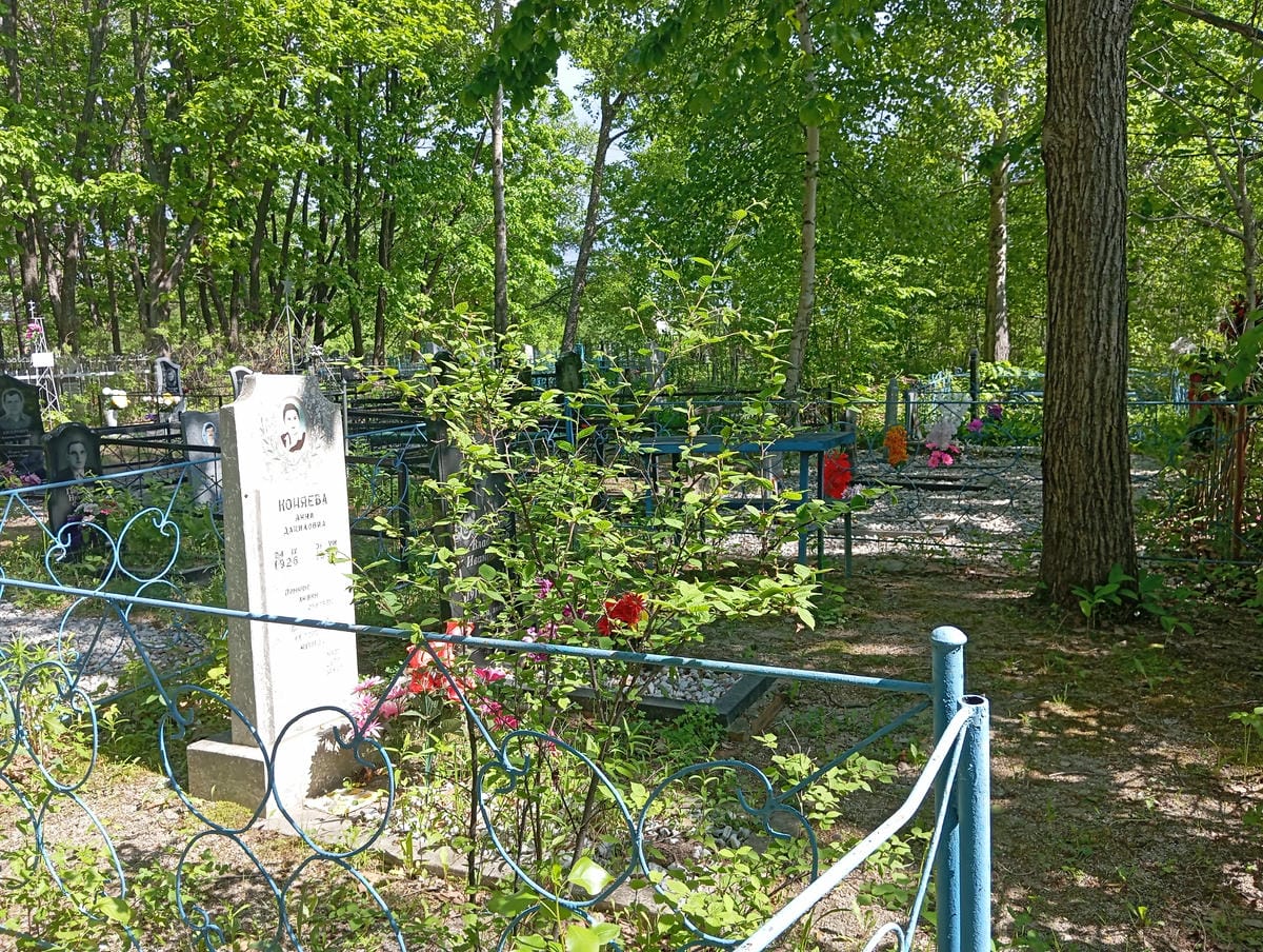 57db6aa8-a5d3-4a2b-b4fa-9dfd230a423c Коняева Анна Даниловна