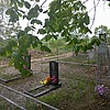 Лацыгина Ефимия Андреевна