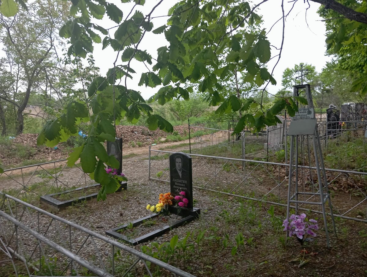 57e80e27-3162-42a1-846d-a6358068aa6b Лацыгина Вера Дмитриевна