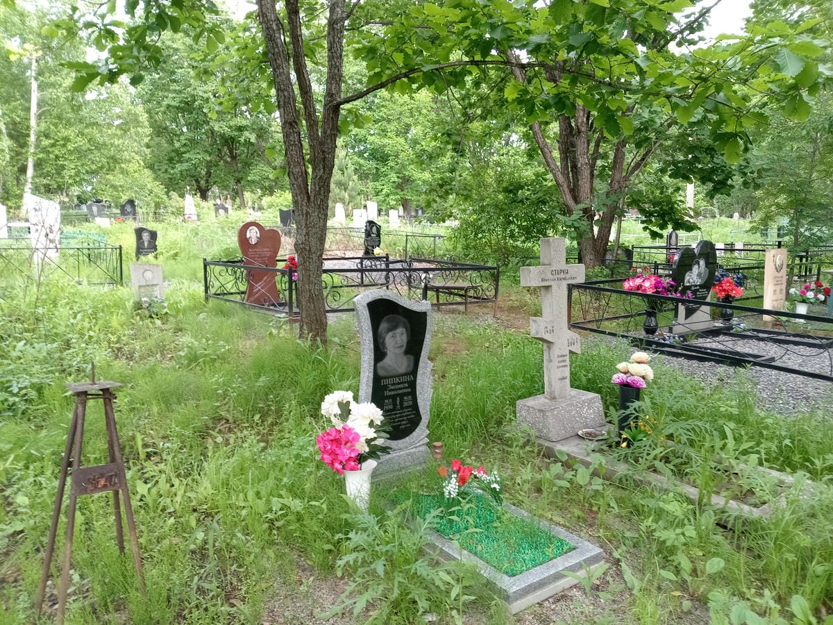 Пипкина Людмила Николаевна