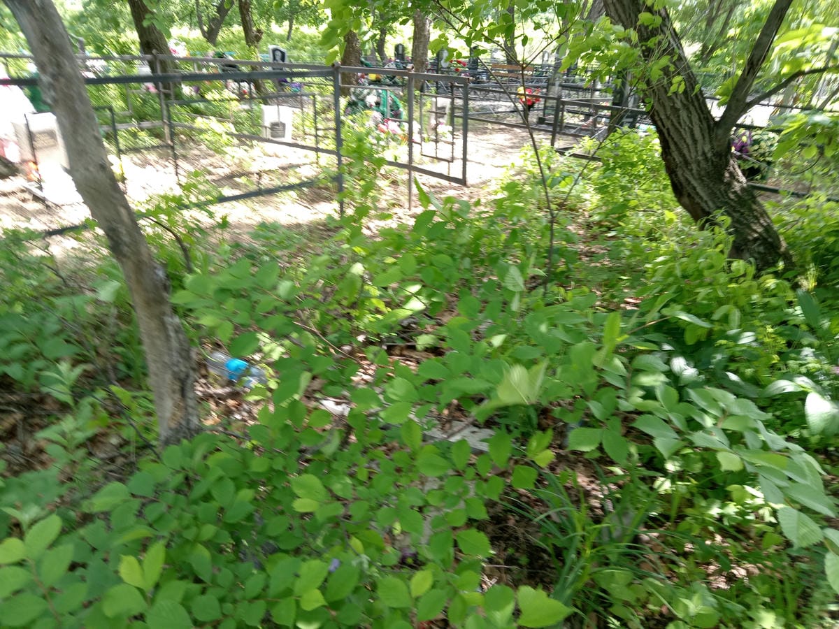 Неизвестно Неизвестно Неизвестно