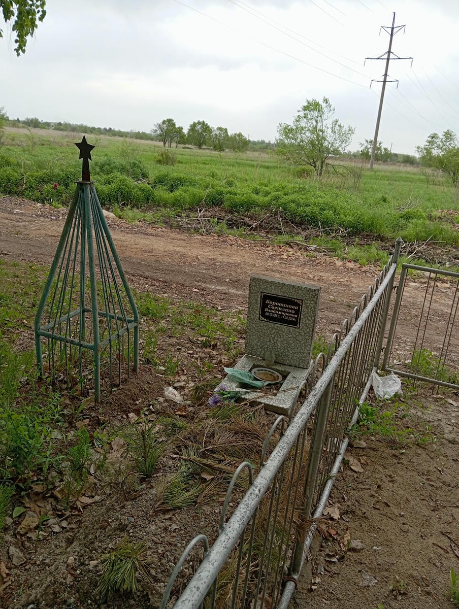 58988cd3-a597-4bc3-bd42-37a13d201b42 Боровикова Светлана Владимировна