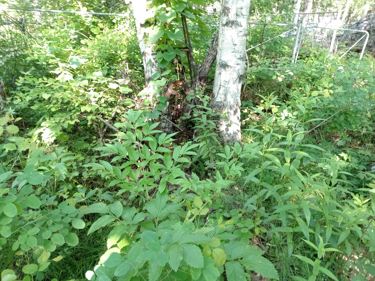 596e65a4-cb78-4e81-b365-f6a2b4bc8657 Неизвестно Неизвестно Неизвестно