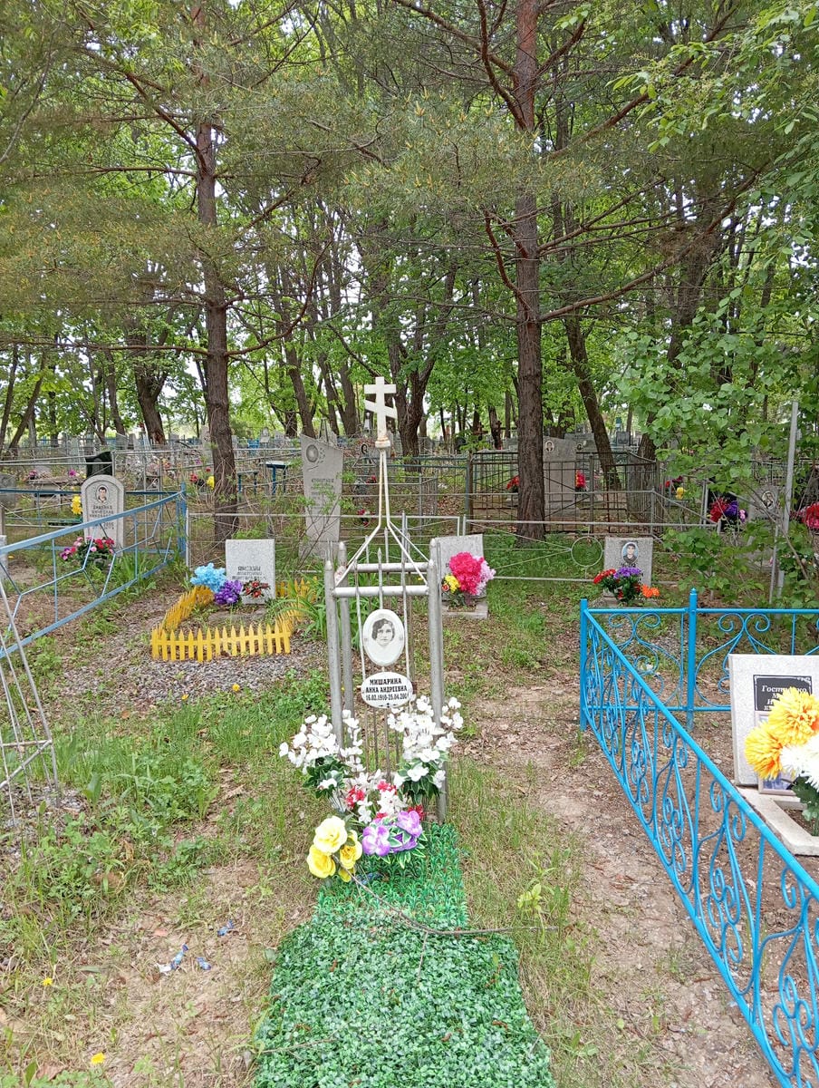 5971d3da-df8b-4593-82fe-10b5bbcfa021 Мишарина Анна Анндреевна