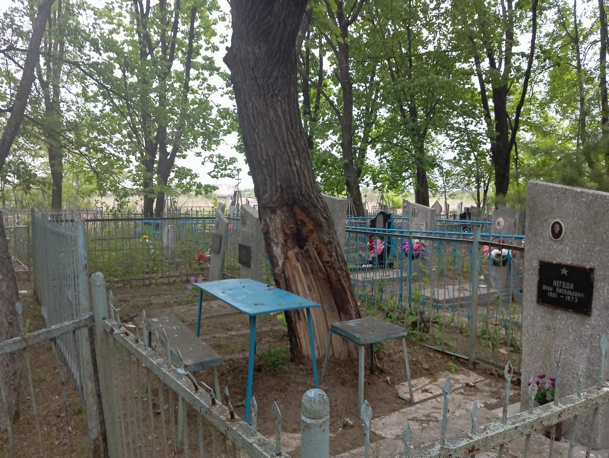 5b129613-c6b3-4da5-854b-1e6bdd07ef94 Негода Татьяна Семеновна