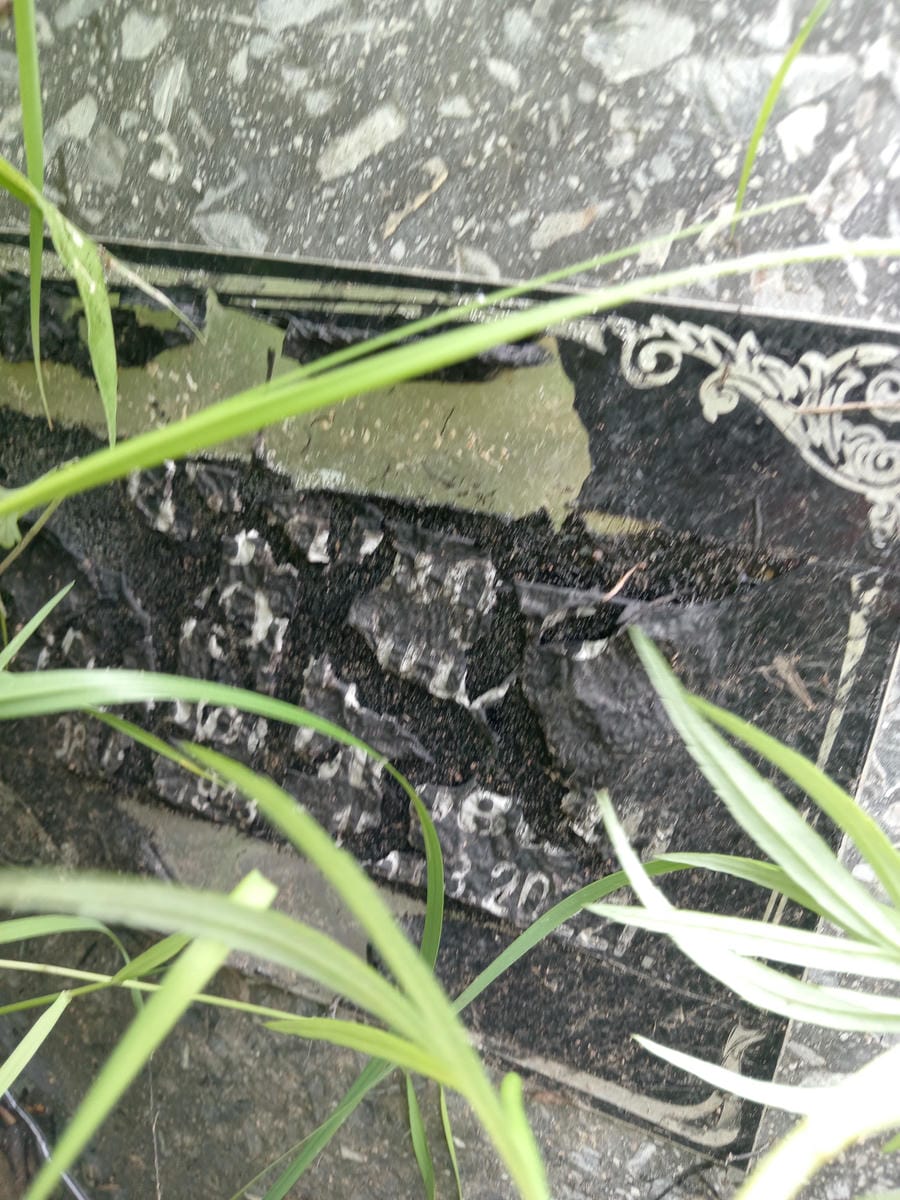 Неизвестно Неизвестно Неизвестно