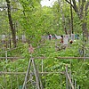 Маркова Оксана Васильевна