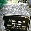 Мишина Ровза Шайдулловна