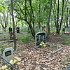 Мурзина Алефтина Сергеевна