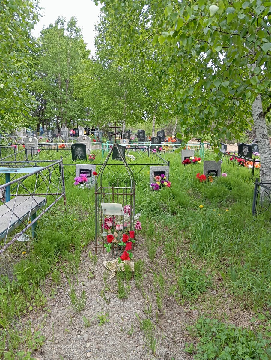 Чемина Татьяна Николаевна