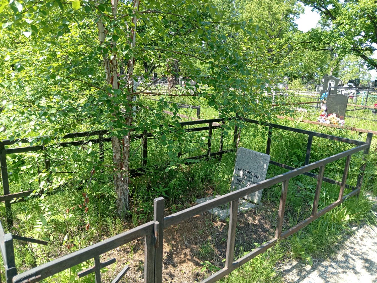 5be5e206-fae6-48c7-8840-dc96d64382f9 Коваленко Домна Прокофьевна