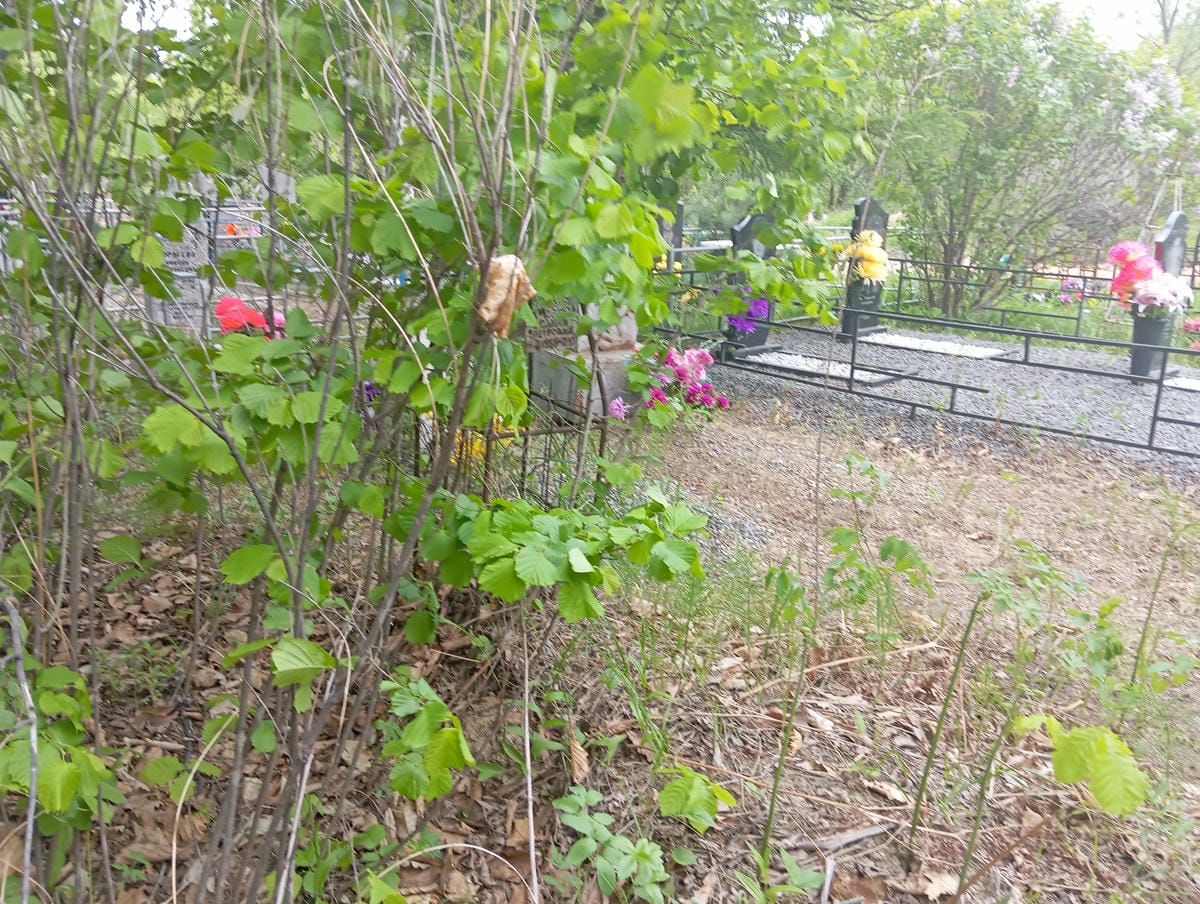 Ахмариева Галина Петровна