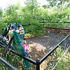 Конишеску Виктор Григорьевич