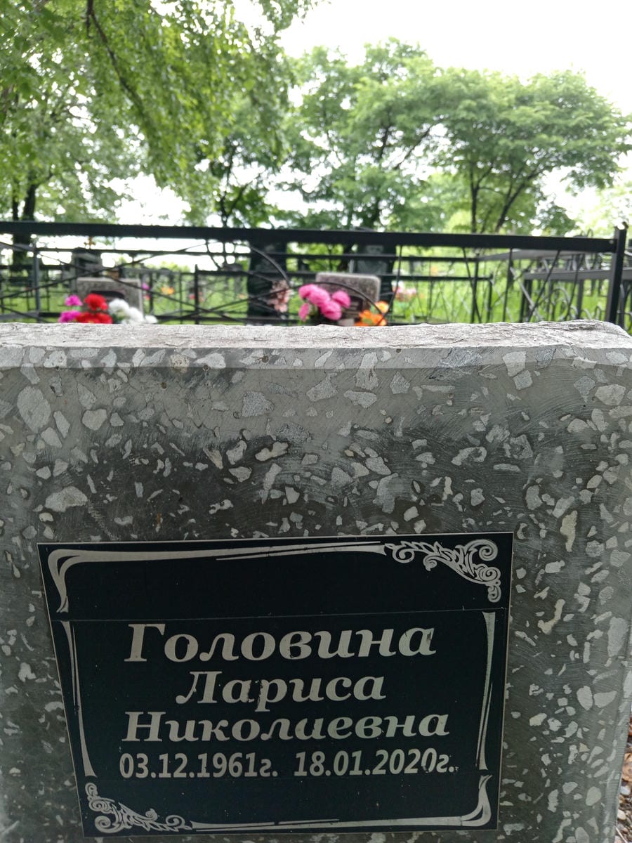 5d4fef38-a8b0-46d4-b1fb-bc4ad6119f6b Головина Лариса Николаевна
