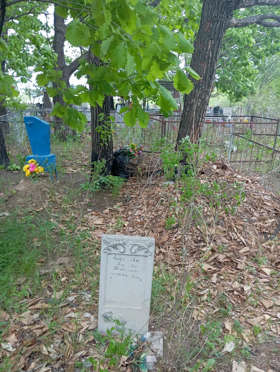 5dd0bfaa-856d-486b-895b-7fc3944a2db6 Лысякова Любовь Николаевна