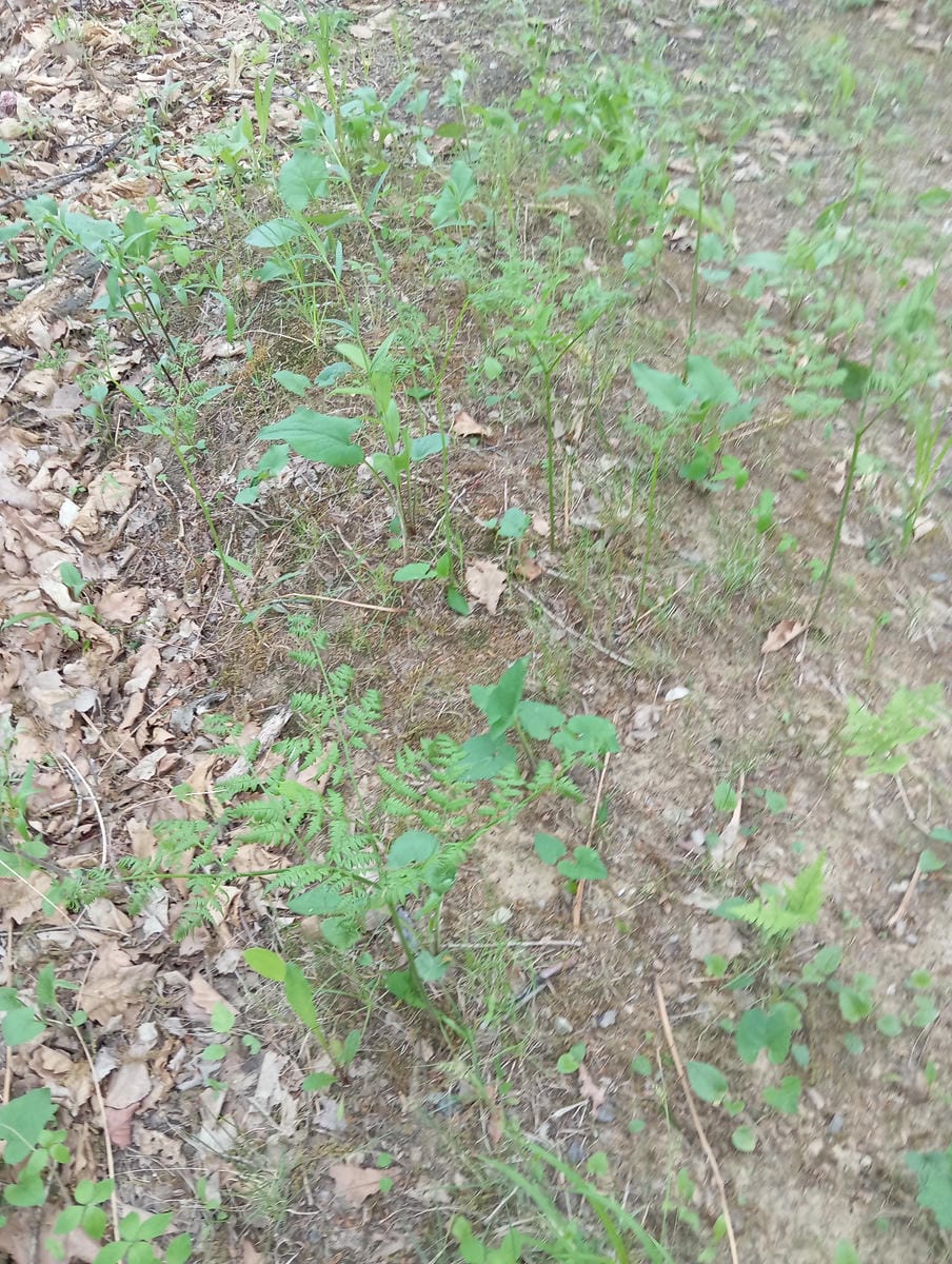 Неизвестно Неизвестно Неизвестно