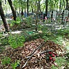 Неизвестно Неизвестно Неизвестно