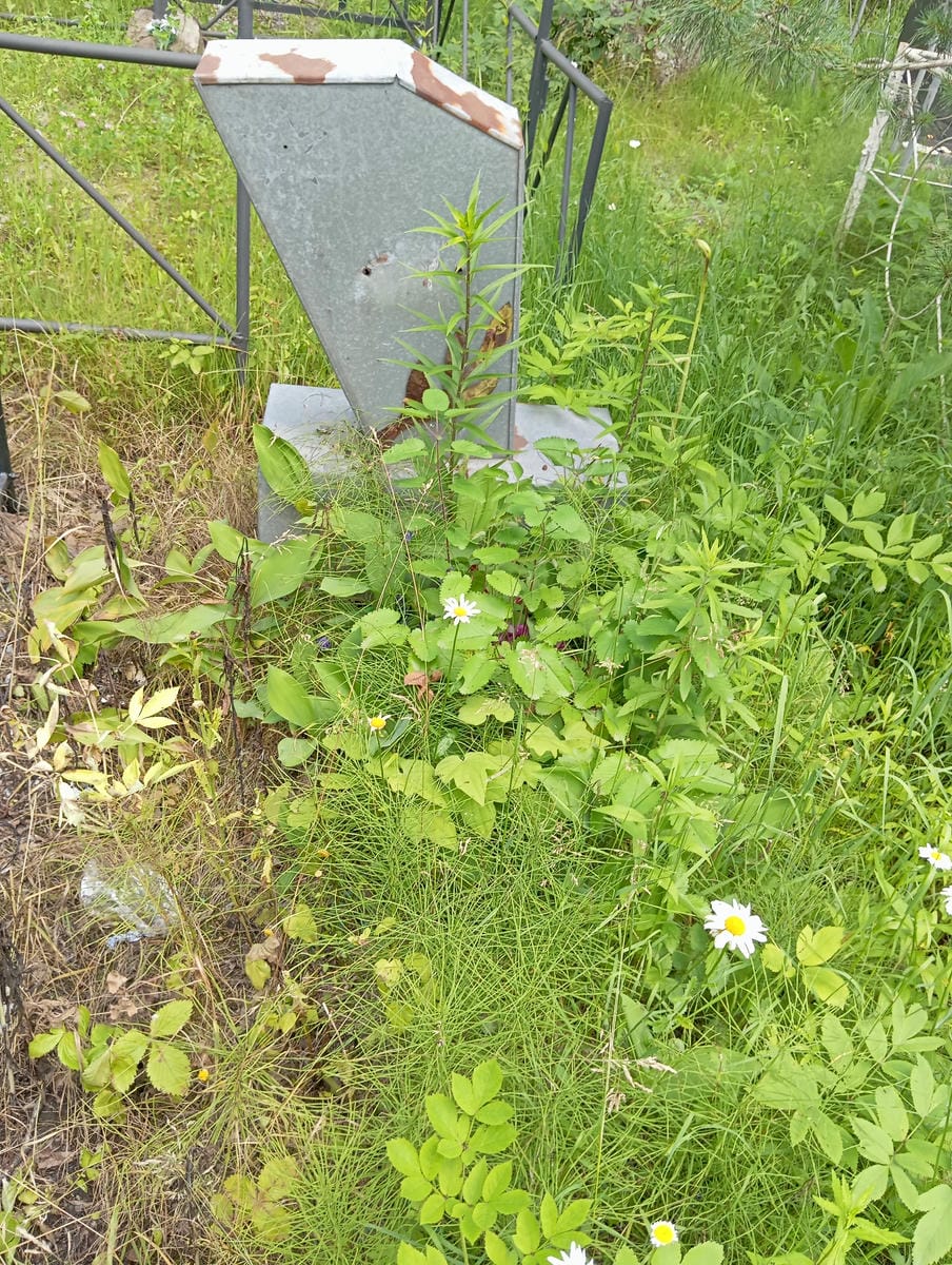 Неизвестно Неизвестно Неизвестно