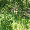 Ивченко Иоанн Иосифович
