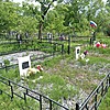 Махницкий Сергей Никифорович