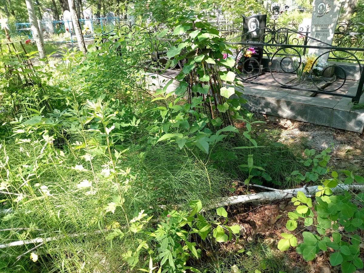 5fb6e026-fef6-4603-8123-7750f51ff985 Неизвестно Неизвестно Неизвестно