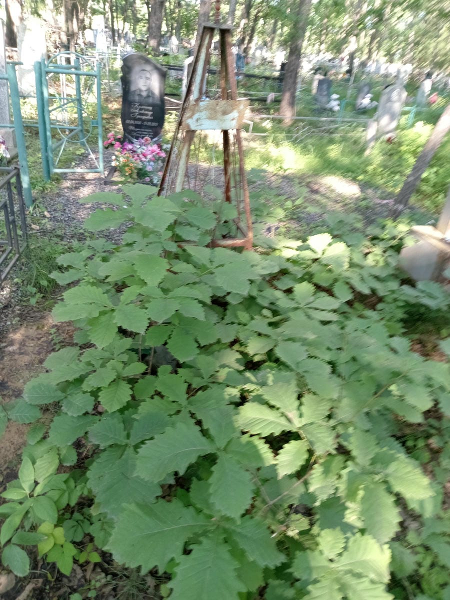 Неизвестно Неизвестно Неизвестно