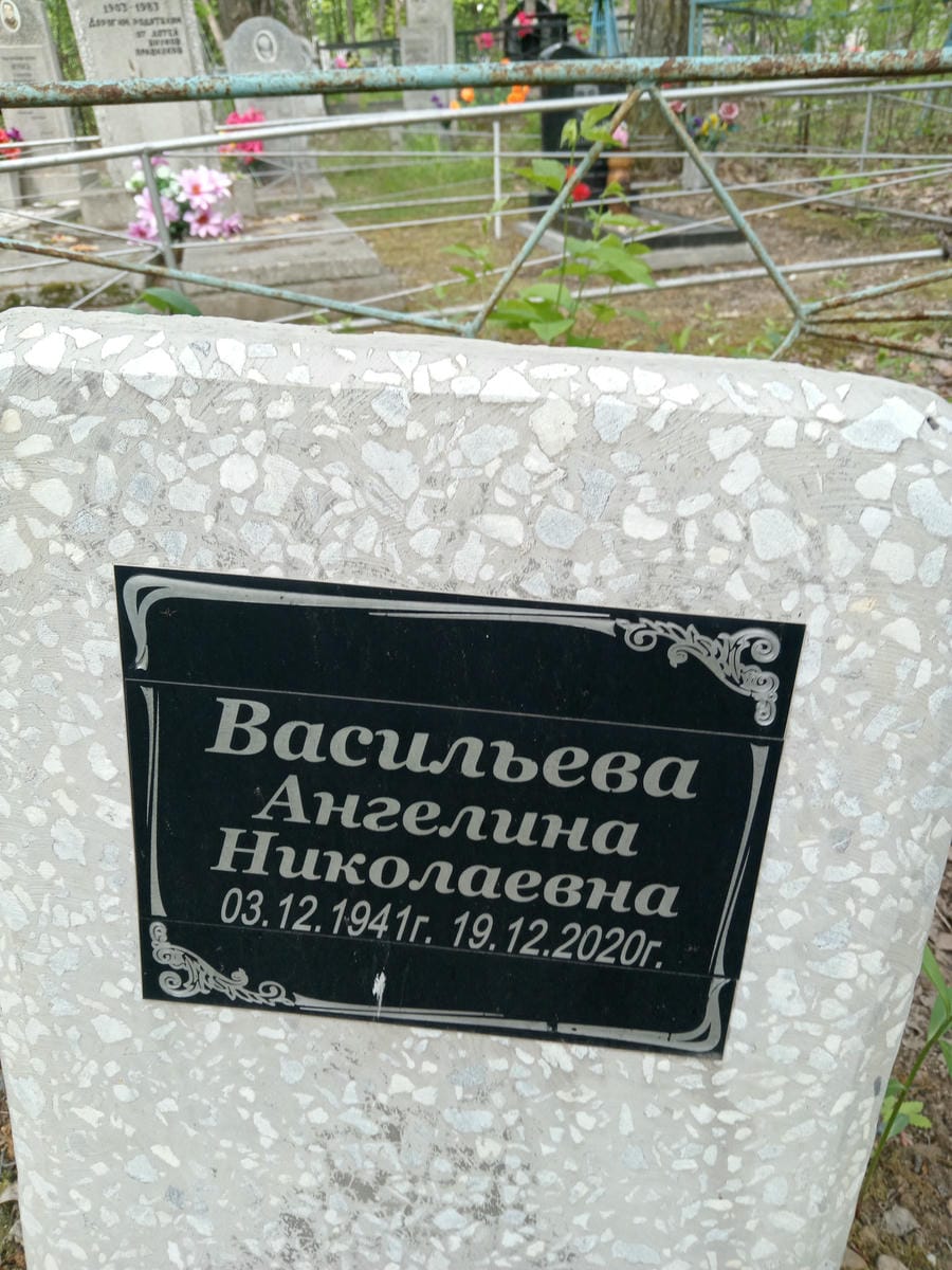 Васильева Ангелина Николаевна