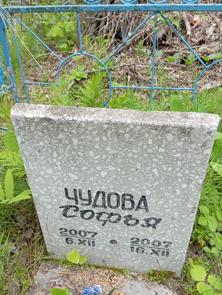 Чудова Софья Неизвестно