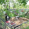 Бурлакова Нина Ивановна
