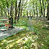 Лут Александр Тимофеевич