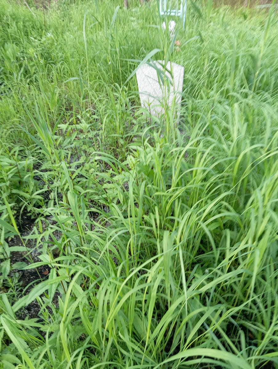 Неизвестно Неизвестно Неизвестно