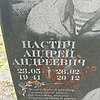 Настич Андрей Андреевич