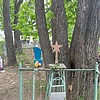 Лазакович Лена Неизвестно