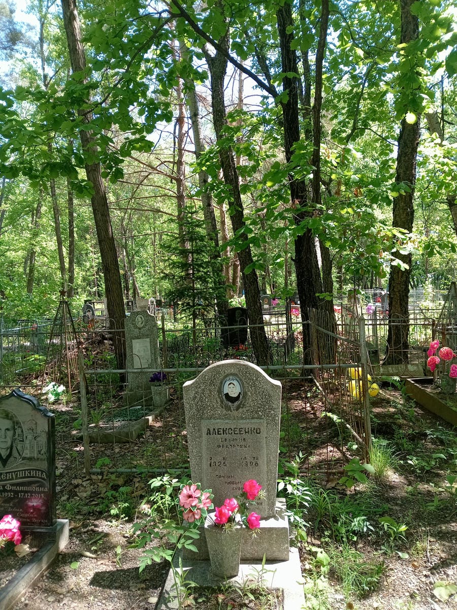 62668013-d1b9-4f97-a109-f54d9923557b Алексеенко Евдокия Фёдоровна