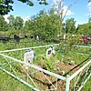 Постникова Анна Марковна