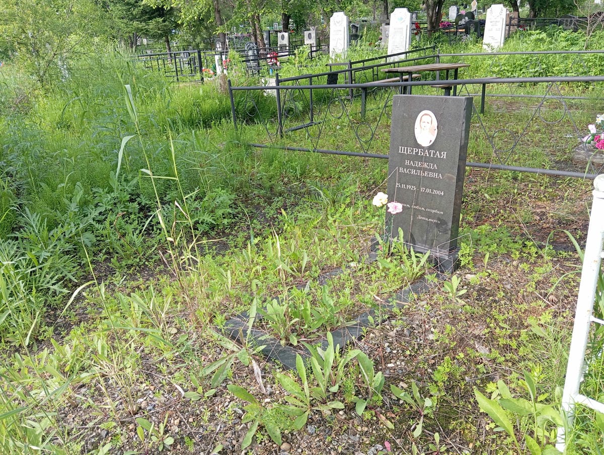 Щербатая Надежда Васильевна