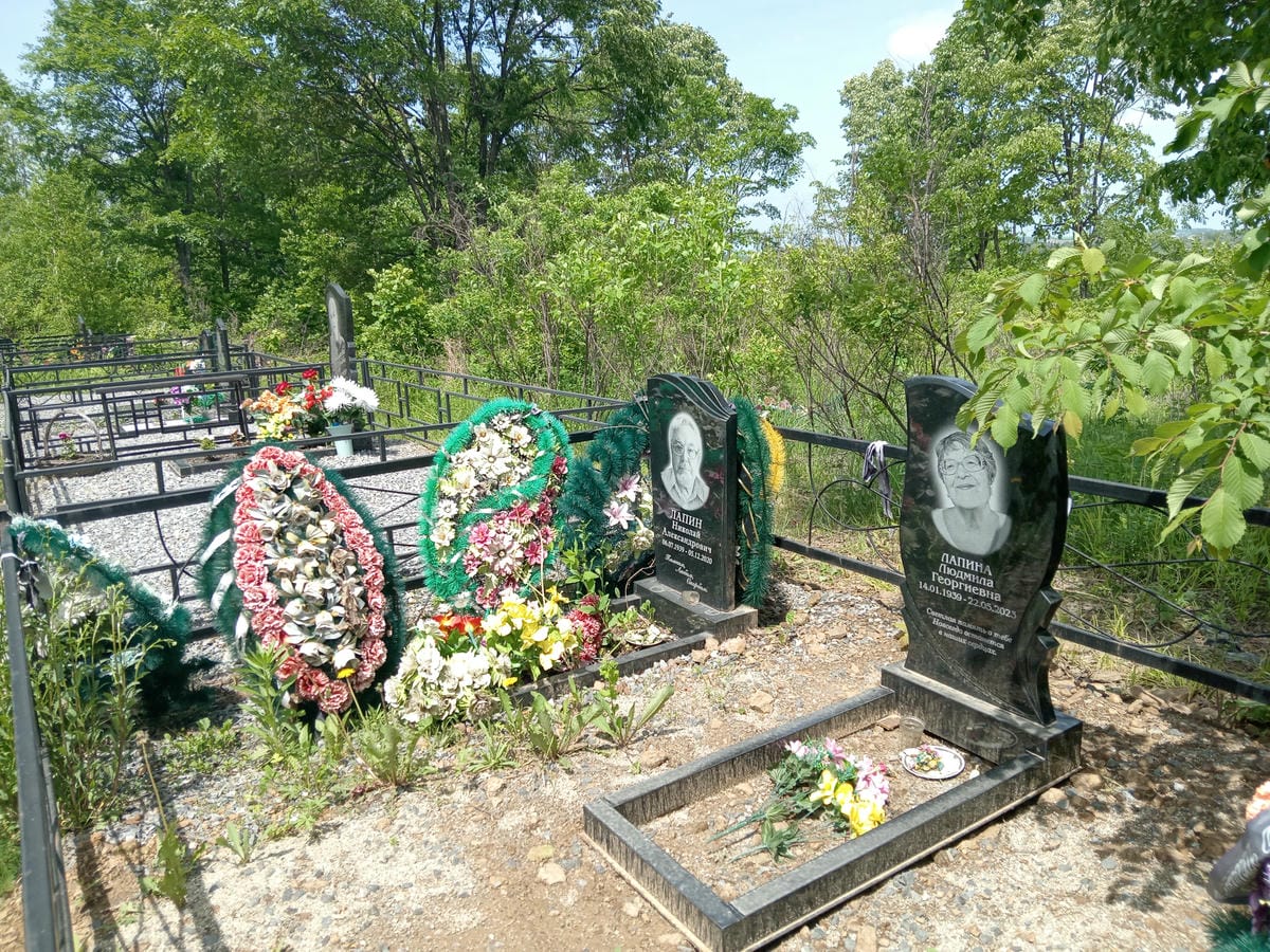 Лапин Николай Александрович