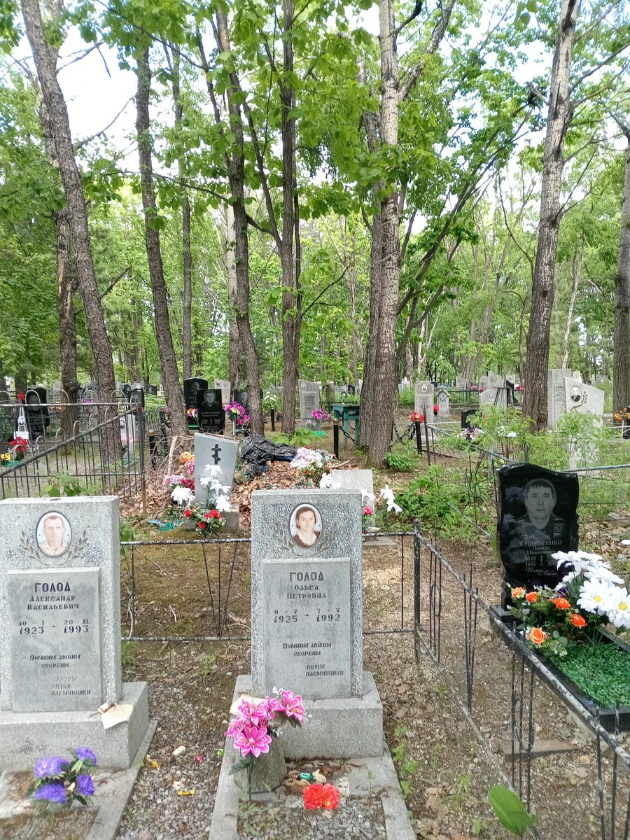 62bc3cf7-651a-433f-8d49-efb2f551ad8d Голод Ольга Петровна