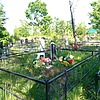 Тимофеев Алексей Николаевич