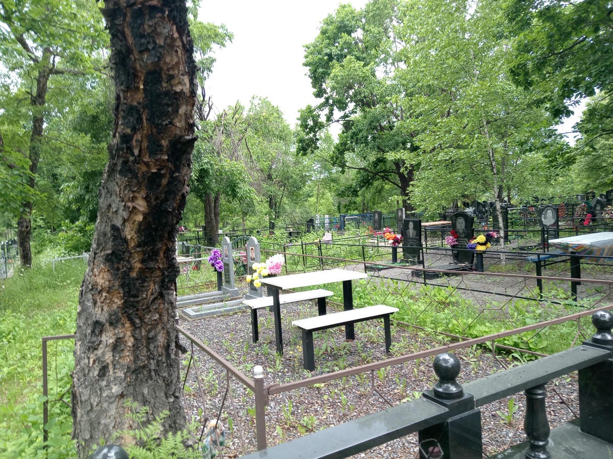 632036db-48d3-4763-8c23-ea870641ee86 Леплянина Валентина Николаевна